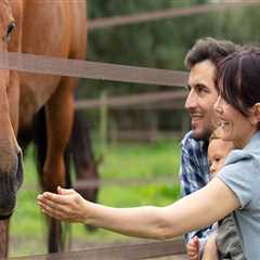 Maximizing Opportunities for Vendors at Horse Shows in Southwestern Missouri