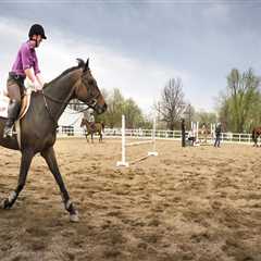 The Controversy of Performance-Enhancing Substances at Horse Shows in Southwestern Missouri