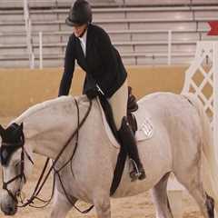 Maximizing Sponsorship Opportunities at Horse Shows in Southwestern Missouri