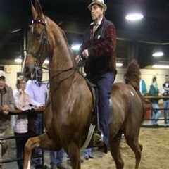 The Exciting World of Horse Shows in Southwestern Missouri