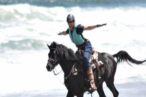 Why You Can't Miss the Equine Expo in Southwest Washington