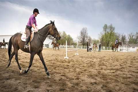The Controversy of Performance-Enhancing Substances at Horse Shows in Southwestern Missouri