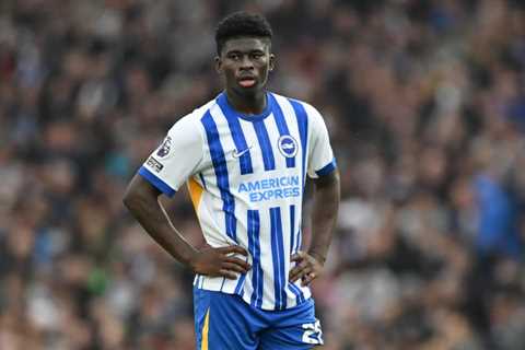 Manchester United Begin Negotiations For Baleba As Brighton Value Player At £87m