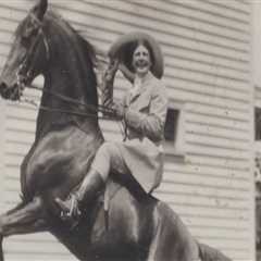 The Exciting World of Horse Shows in Northeast Ohio