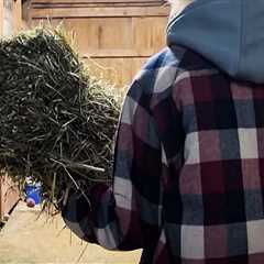 Maximizing Sales at Horse Shows in Northeast Ohio