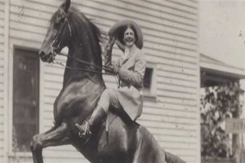 The Exciting World of Horse Shows in Northeast Ohio