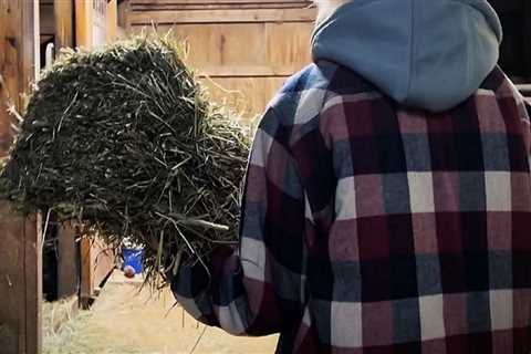 Maximizing Sales at Horse Shows in Northeast Ohio
