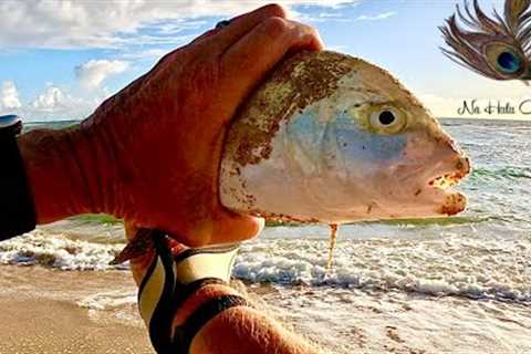 Fishing Kauai With Bubble and Fly | Fishing Hawaii | Shore Fishing Kauai