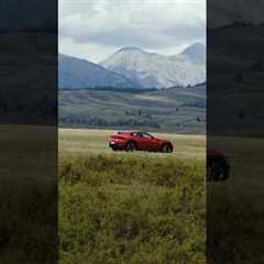 When the #FerrariPurosangue arrives, the road takes notice. #Ferrari