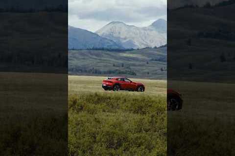 When the #FerrariPurosangue arrives, the road takes notice. #Ferrari